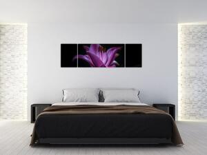 Obraz lilie (170x50 cm)