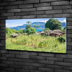 Moderní skleněný obraz z fotografie Jezero Malavi osh-91343567