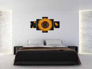 Obraz - Slunečnice a lístky květů (125x70 cm)