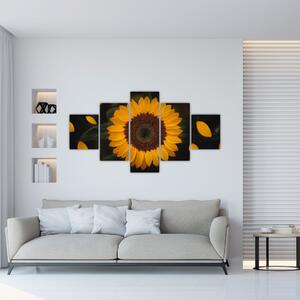 Obraz - Slunečnice a lístky květů (125x70 cm)