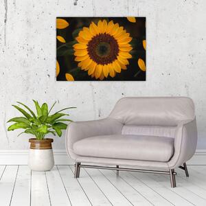 Obraz - Slunečnice a lístky květů (70x50 cm)