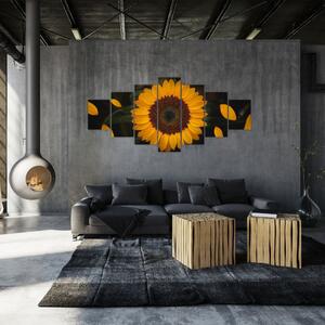 Obraz - Slunečnice a lístky květů (210x100 cm)