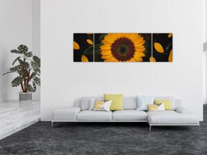 Obraz - Slunečnice a lístky květů (170x50 cm)