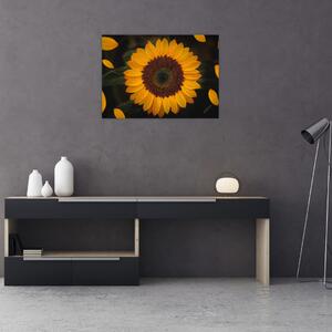 Obraz - Slunečnice a lístky květů (70x50 cm)