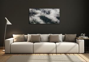 Foto obraz sklo tvrzené Mlha nad lesem osh-92103415