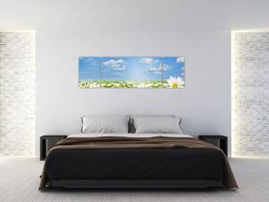 Obraz rozkvetlé louky s kopretinami (170x50 cm)