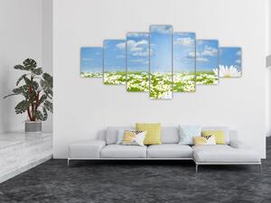 Obraz rozkvetlé louky s kopretinami (210x100 cm)