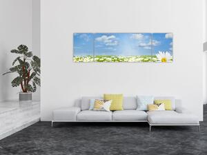Obraz rozkvetlé louky s kopretinami (170x50 cm)