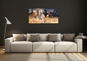 Foto-obraz na skle horizontální Koně ve cvalu osh-92773051