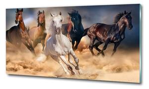 Foto-obraz na skle horizontální Koně ve cvalu osh-92773051
