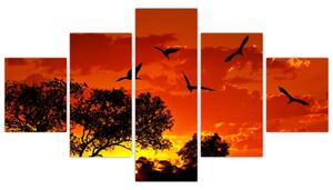 Obraz ptáků při západu slunce (125x70 cm)