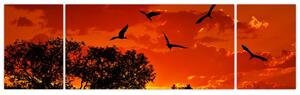 Obraz ptáků při západu slunce (170x50 cm)