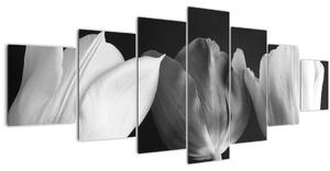 Obraz - Černobílé květy tulipánů (210x100 cm)