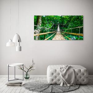 Foto obraz sklo tvrzené Most tropický les osh-94521444