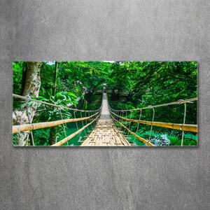 Foto obraz sklo tvrzené Most tropický les osh-94521444