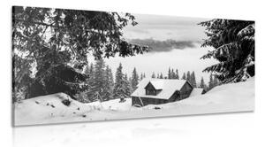 Obraz dřevěný domek u zasněžených borovicích v černobílém provedení - 100x50 cm