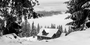Obraz dřevěný domek u zasněžených borovicích v černobílém provedení - 100x50 cm