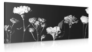 Obraz elegantní černobílé květiny - 100x50 cm