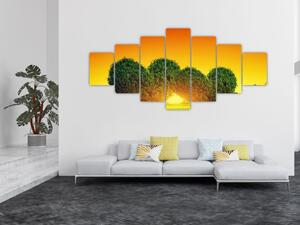 Obraz - Srdce v korunách stromů (210x100 cm)