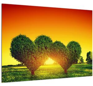 Obraz - Srdce v korunách stromů (70x50 cm)