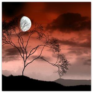 Obraz - Měsíc osvětlující noc (30x30 cm)