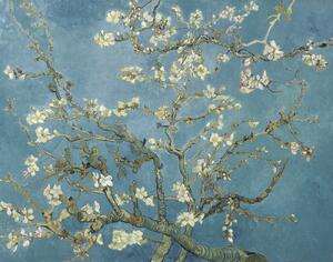 Vincent van Gogh - Obrazová reprodukce Květy mandloní, (40 x 30 cm)