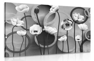 Obraz máky na abstraktním pozadí v černobílém provedení - 90x60 cm