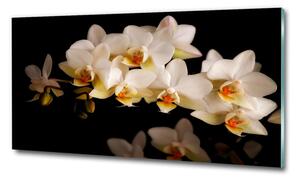 Fotoobraz na skle Orchidej osh-95410450