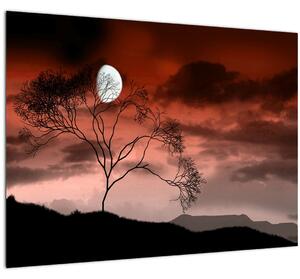 Obraz - Měsíc osvětlující noc (70x50 cm)