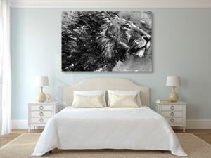 Obraz král zvířat v černobílém akvarely - 60x40 cm
