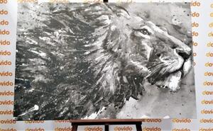 Obraz král zvířat v černobílém akvarely - 60x40 cm