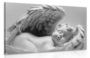 Obraz malý andílek v černobílém provedení - 60x40 cm