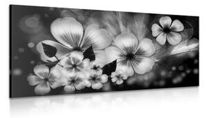 Obraz fantazie květin v černobílém provedení - 100x50 cm