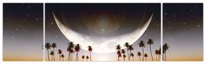 Obraz - Měsíc nad palmami (170x50 cm)