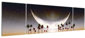Obraz - Měsíc nad palmami (170x50 cm)