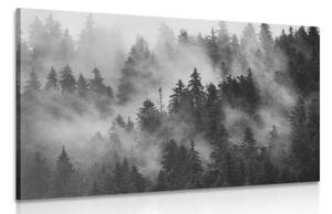 Obraz hory v mlze v černobílém provedení - 120x80 cm