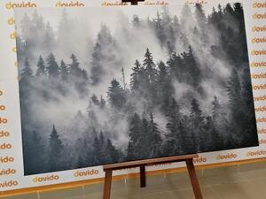 Obraz hory v mlze v černobílém provedení - 60x40 cm