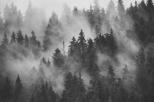Obraz hory v mlze v černobílém provedení - 60x40 cm