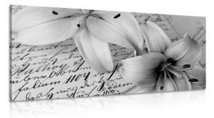 Obraz lilie na starém dokumentu v černobílém provedení - 100x50 cm