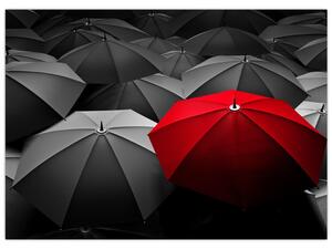 Obraz otevřených deštníků (70x50 cm)