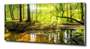 Foto obraz sklo tvrzené Rybník v lese osh-96124300