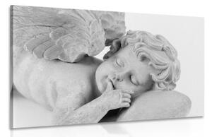 Obraz černobílý spící andílek - 120x80 cm