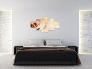 Obraz - Květ růže pro zamilované (125x70 cm)