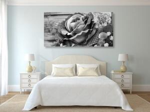 Obraz elegantní vintage růže v černobílém provedení - 100x50 cm
