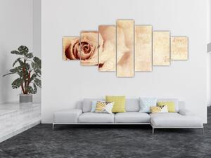 Obraz - Květ růže pro zamilované (210x100 cm)