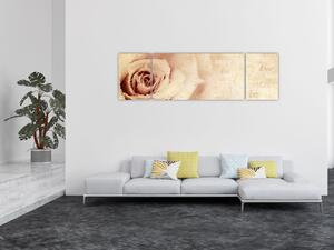 Obraz - Květ růže pro zamilované (170x50 cm)