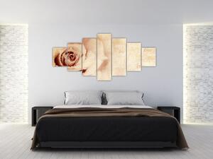 Obraz - Květ růže pro zamilované (210x100 cm)