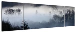Obraz mlhy nad lesem (170x50 cm)