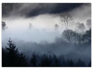Skleněný obraz mlhy nad lesem (70x50 cm)