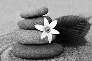 Obraz květ a kameny v písku v černobílém provedení - 60x40 cm